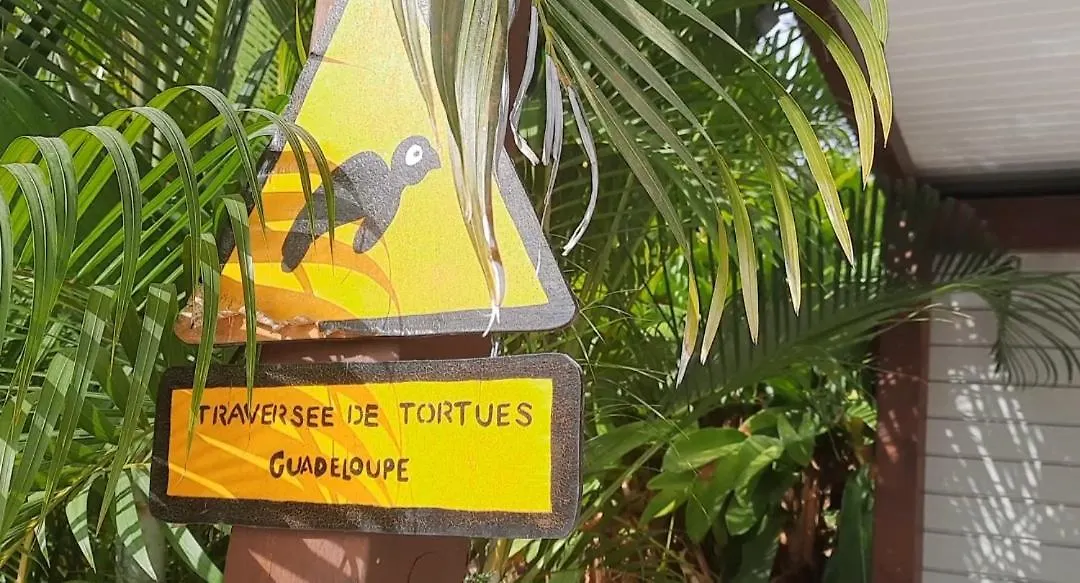 Archipel Maimeo Villa Saint-Francois  Guadeloupe